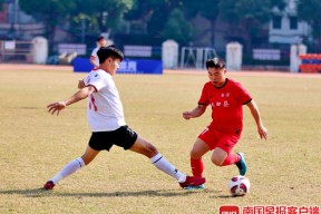 包含赛地聚焦：德国杯转会期热度飙升；成都蓉城远射贴柱；目标明确；球队文化再被提及的词条