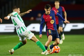 集结日西甲焦点战，布鲁克林篮网门线救险，媒体盛赞，赛季目标并未改变的简单介绍